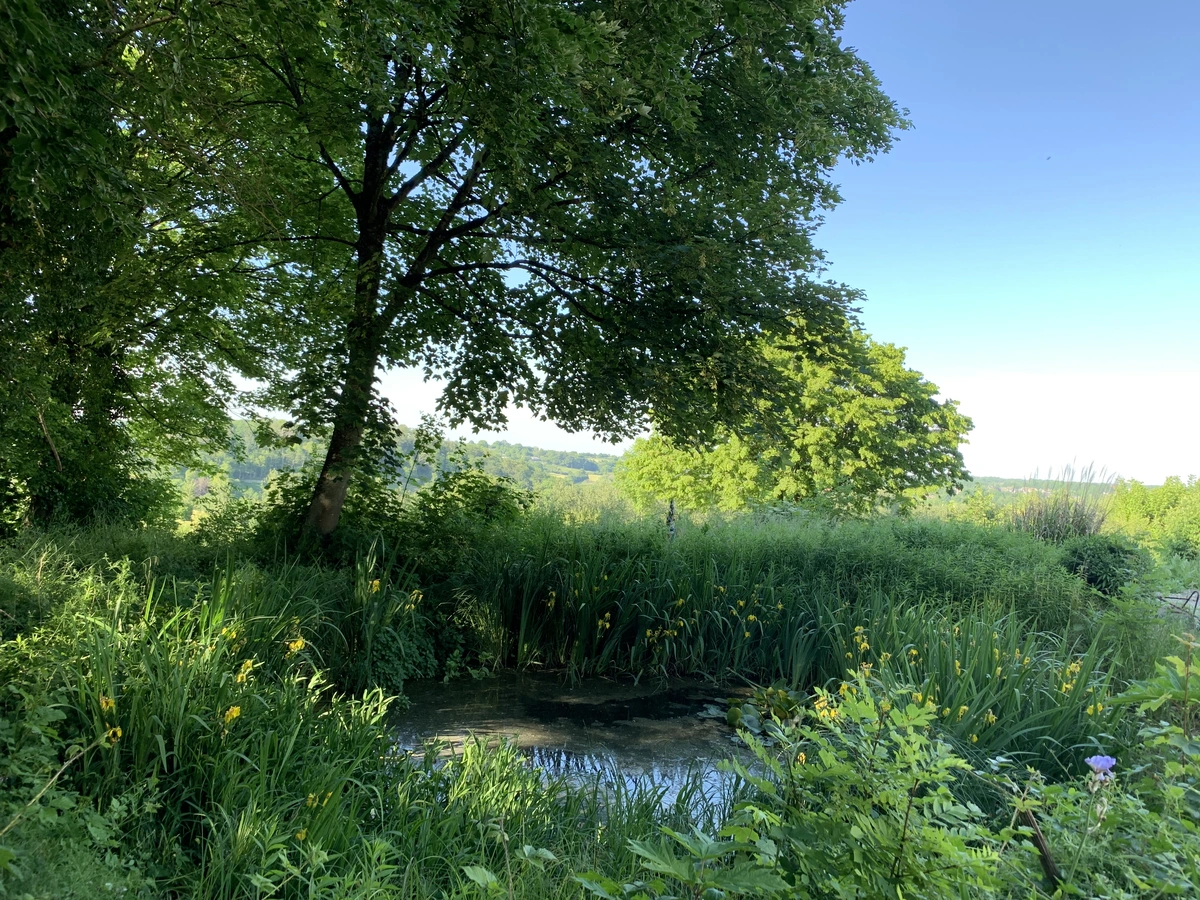 Natuur bij de retraiteplek in de Voerstreek