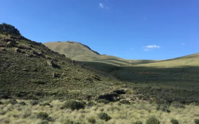 Voeding als medicijn – de essentie van gezonde voeding volgens Ayurveda