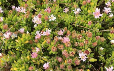 Meer concentratie en energie, minder digitaal