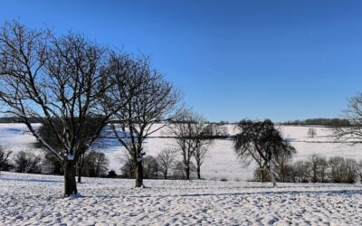 Van angst naar vertrouwen: de eerste stap naar beter worden