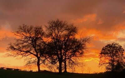 Je hebt wél tijd – hoe kleine keuzes een groot verschil maken