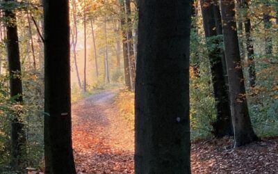 Leven zonder uitknop: wanneer je altijd ‘aan’ staat en rust onvindbaar lijkt