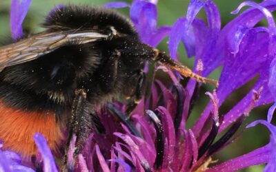 Wanneer bewustwording je bedrijf verandert: hoe motiveer en behoud je personeel?